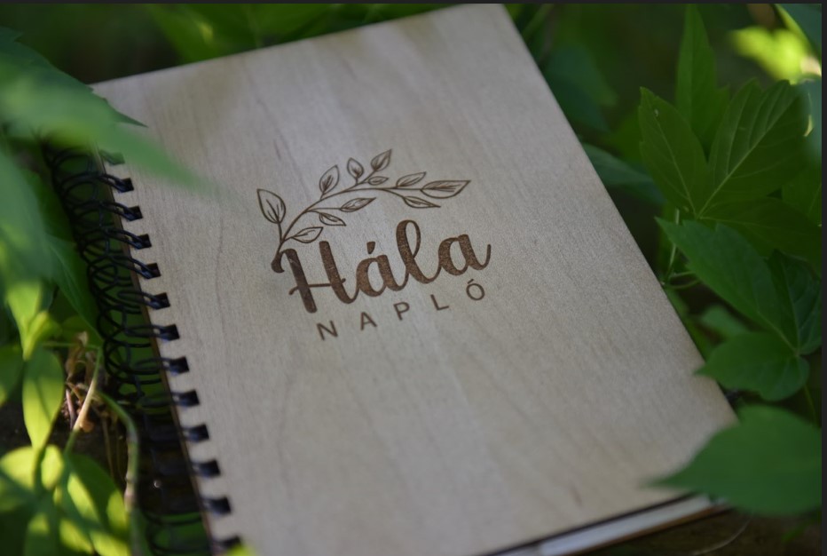 Képernyőkép 2025-05-03 204911